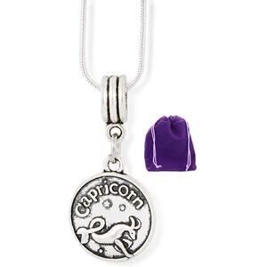 Capricorn Necklace Zodiac Astrology Horoscope